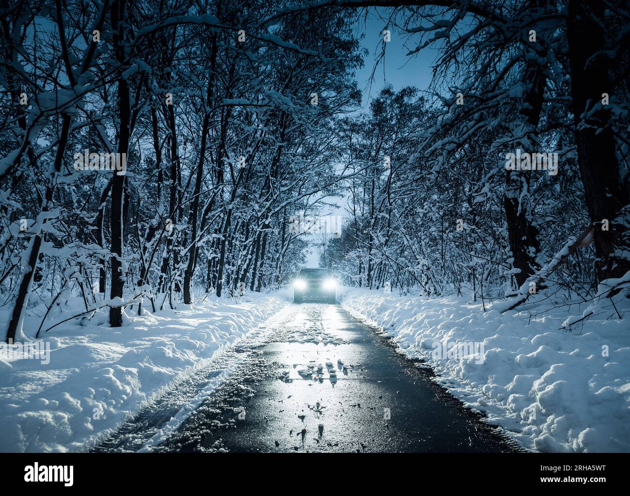 debout devant une voiture avec des phares lumineux la nuit. Vue symétrique dans les tons froids de l'avant d'une voiture sur une route enneigée étroite dans la forêt Banque D'Images