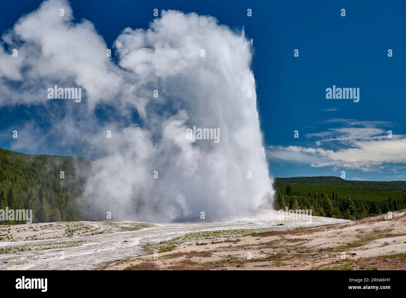 Erupting Old Faithful Geyser, Upper Geyser Basin, parc national de Yellowstone, Wyoming, États-Unis d'Amérique Banque D'Images