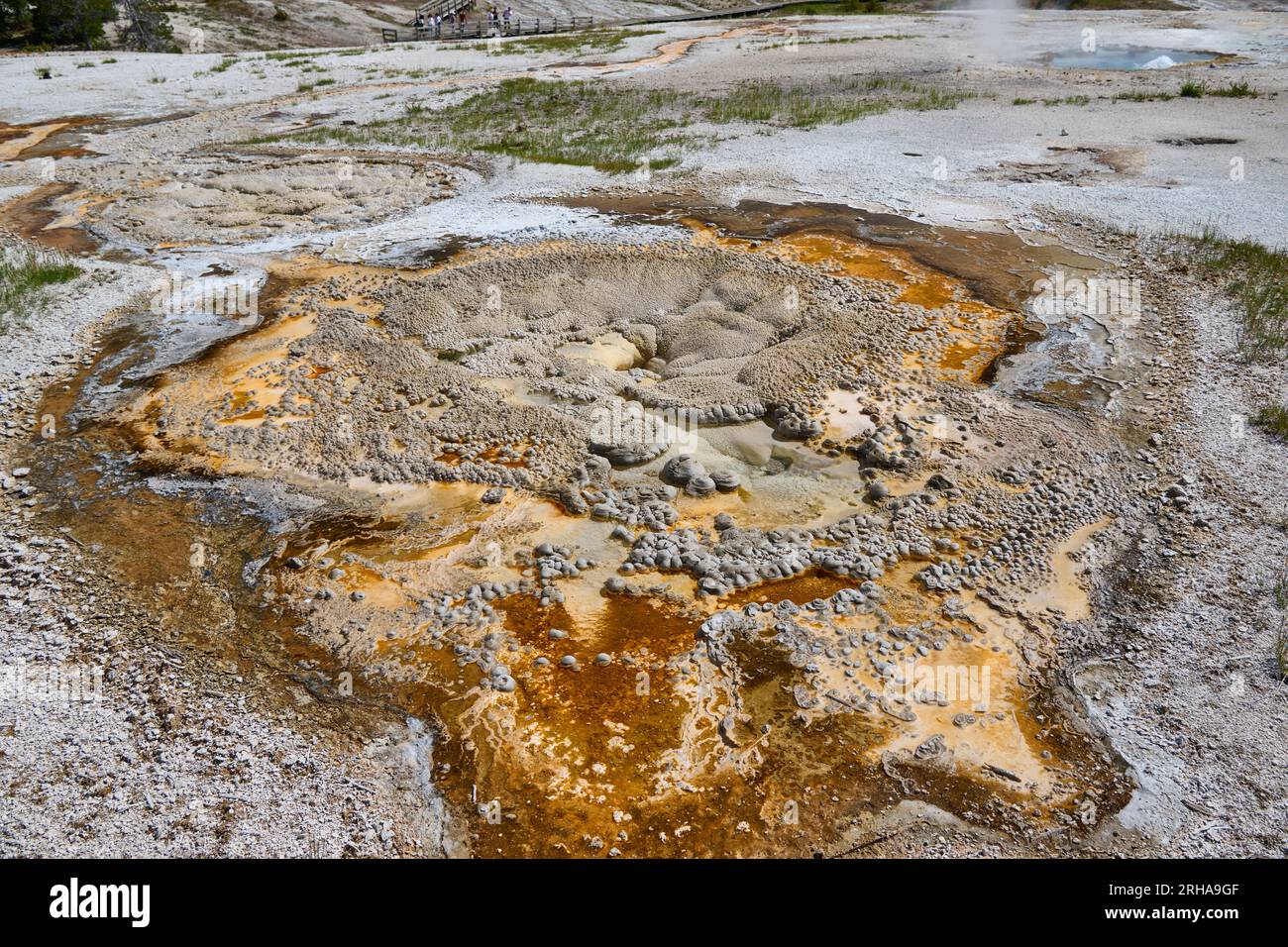 Geysers d'anémones, Upper Geyser Basin, parc national de Yellowstone, Wyoming, États-Unis d'Amérique Banque D'Images