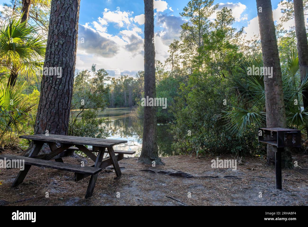 Table et bancs dans l'aire de pique-nique près du magnifique lac entouré d'arbres au coucher du soleil Banque D'Images