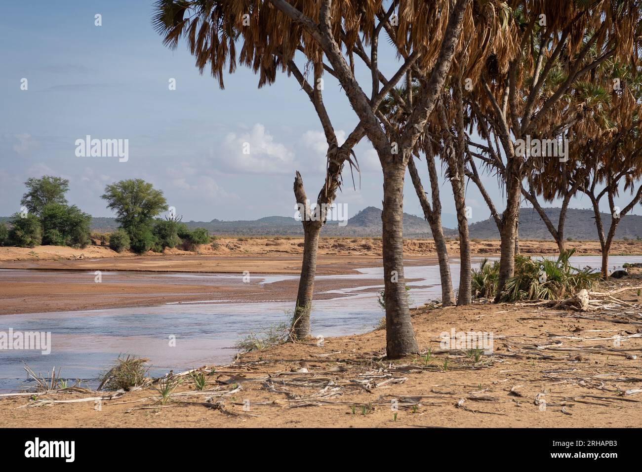 Rivière Ewaso ng'iro, Réserve faunique de Samburu, Kenya, Afrique Banque D'Images