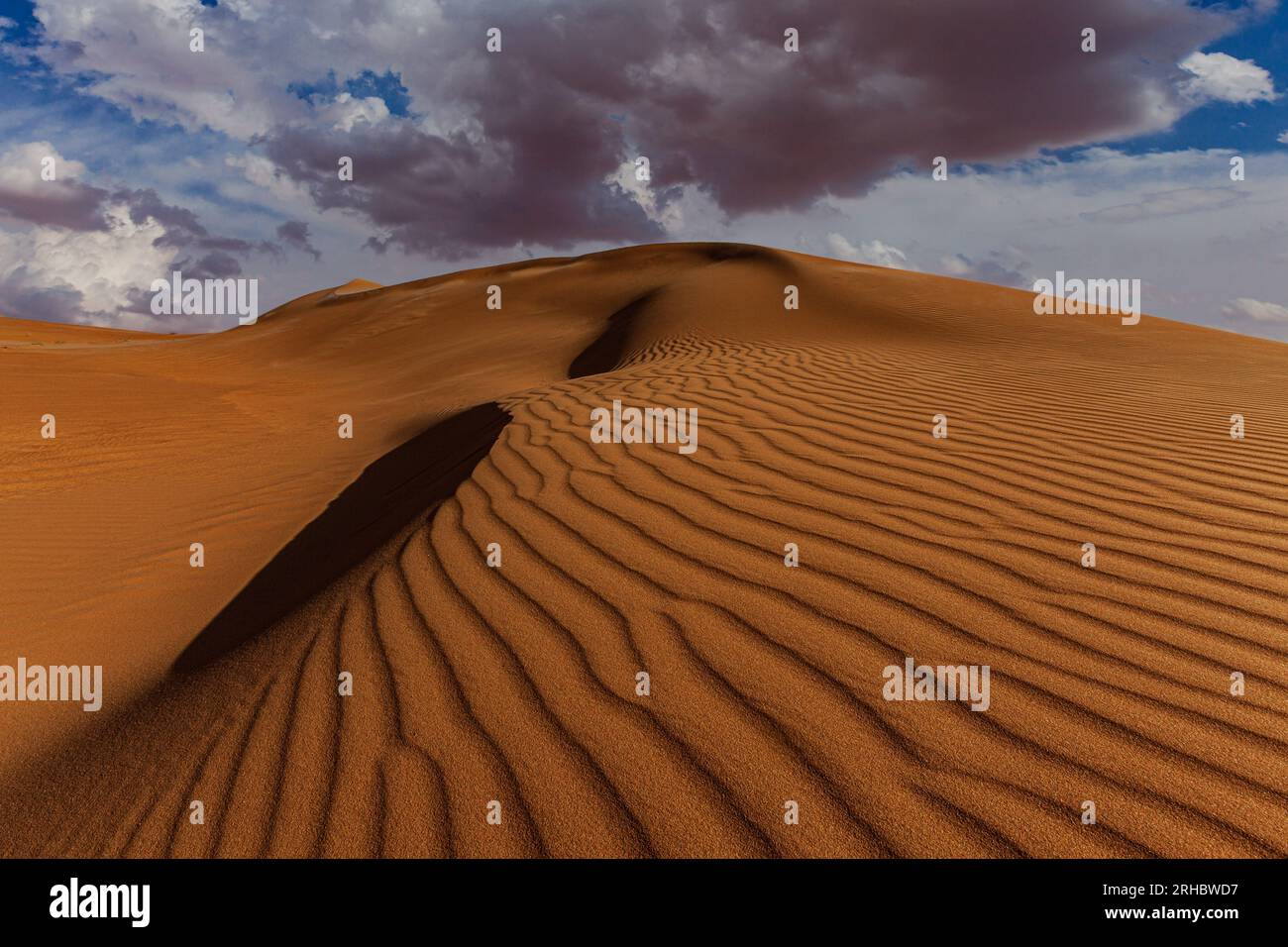 Ondulations sur la crête d'une dune de sable dans un paysage désertique, Arabie Saoudite Banque D'Images