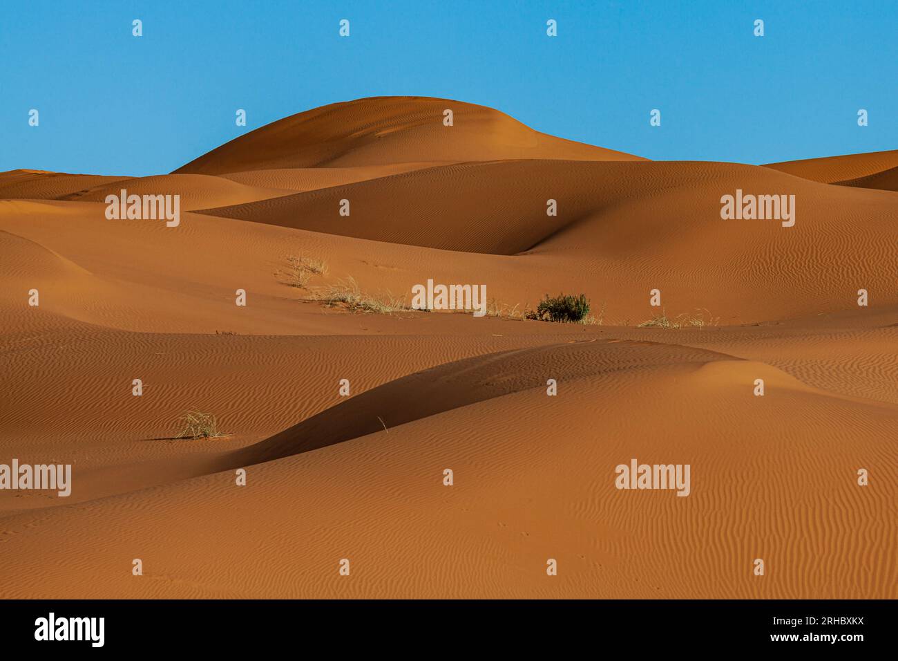 Paysage désertique orange, Arabie Saoudite Banque D'Images