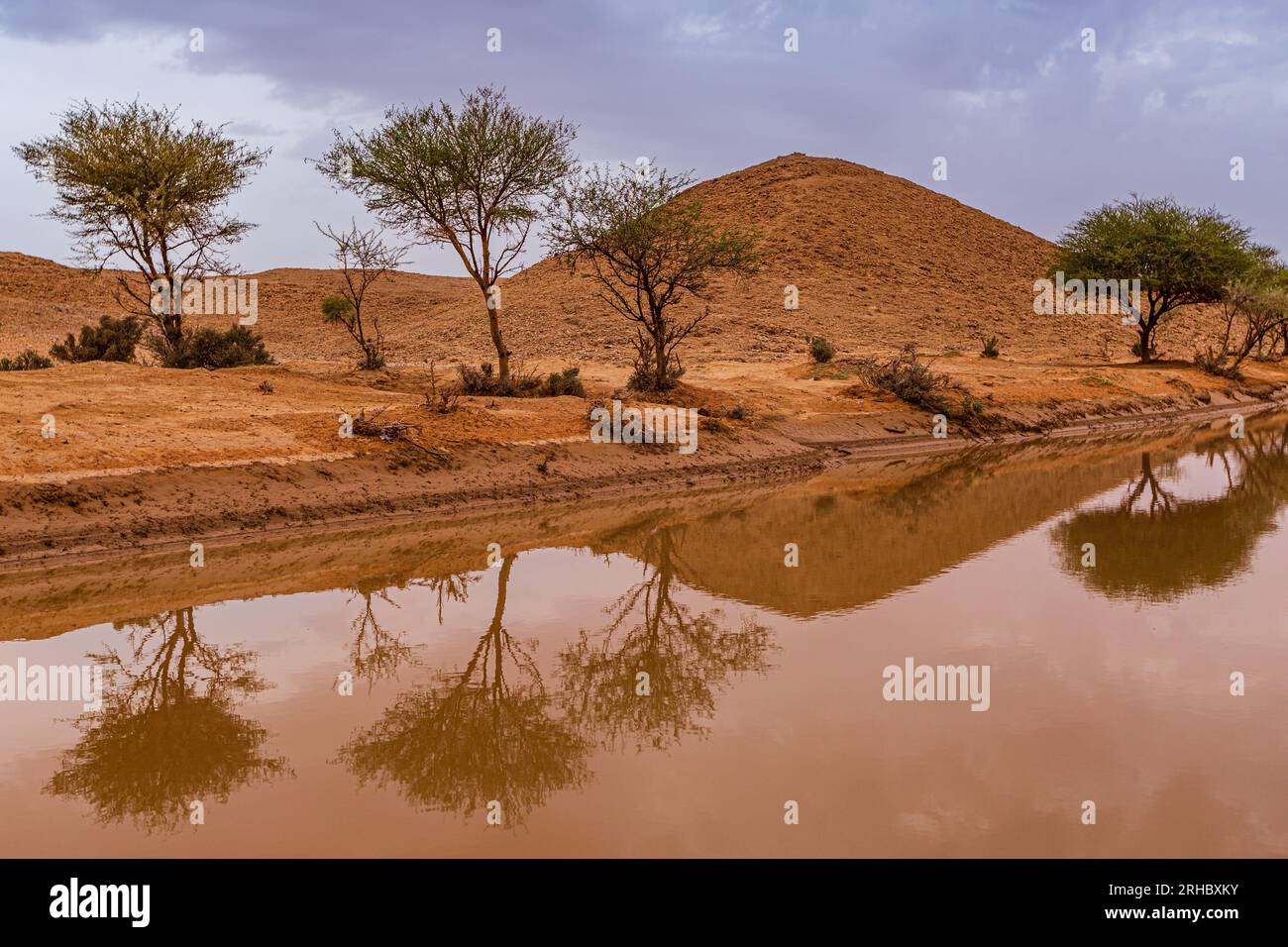 Paysage désertique inondé, Arabie Saoudite Banque D'Images