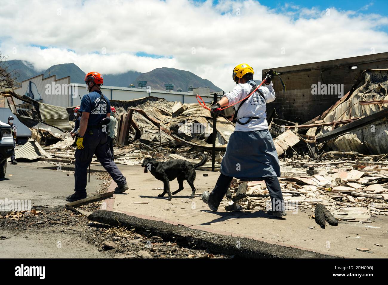 Lahaina, Hawaii (14 août 2023) - les équipes de recherche et sauvetage en milieu urbain de la FEMA, la Force opérationnelle 1 de Washington et la Force opérationnelle 1 du Nevada, poursuivent leur intervention en cas de feu de forêt à Maui. Banque D'Images