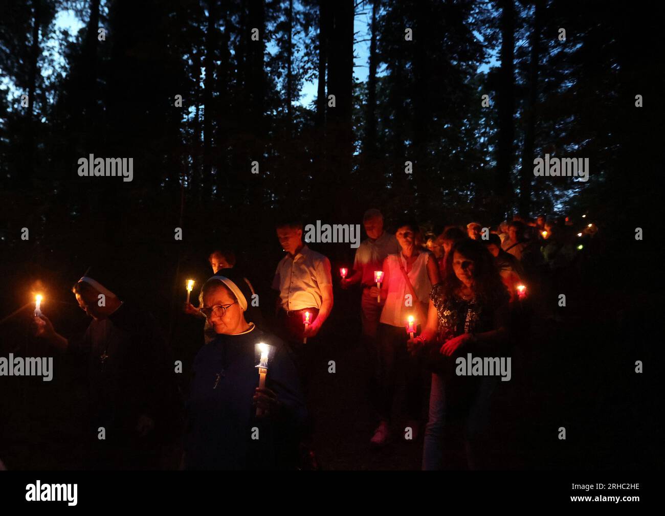 Ziemetshausen, Allemagne. 15 août 2023. Les fidèles marchent dans la forêt sur le site de pèlerinage de Maria Vesperbild dans une procession de lumières dans le cadre d’une messe pontificale célébrée ici par Mgr Gänswein, ancien secrétaire particulier du pape Benoît XVI, le jour de la fête catholique de l’Assomption de la Bienheureuse Vierge Marie. Crédit : Karl-Josef Hildenbrand/dpa/Alamy Live News Banque D'Images