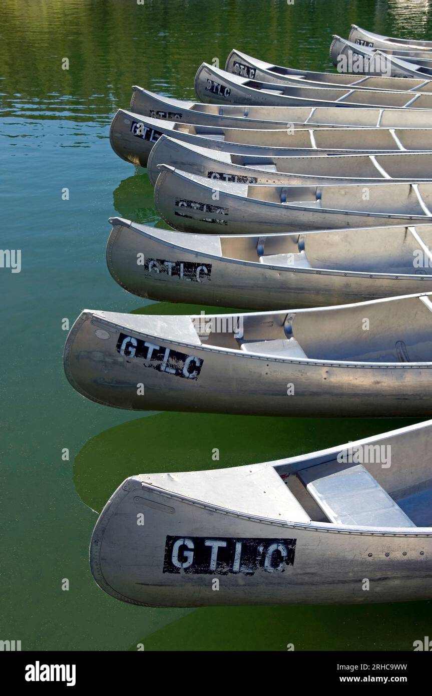 Location de canoës dans le lac dans le parc national de Grand Teton, Wyoming, États-Unis Banque D'Images