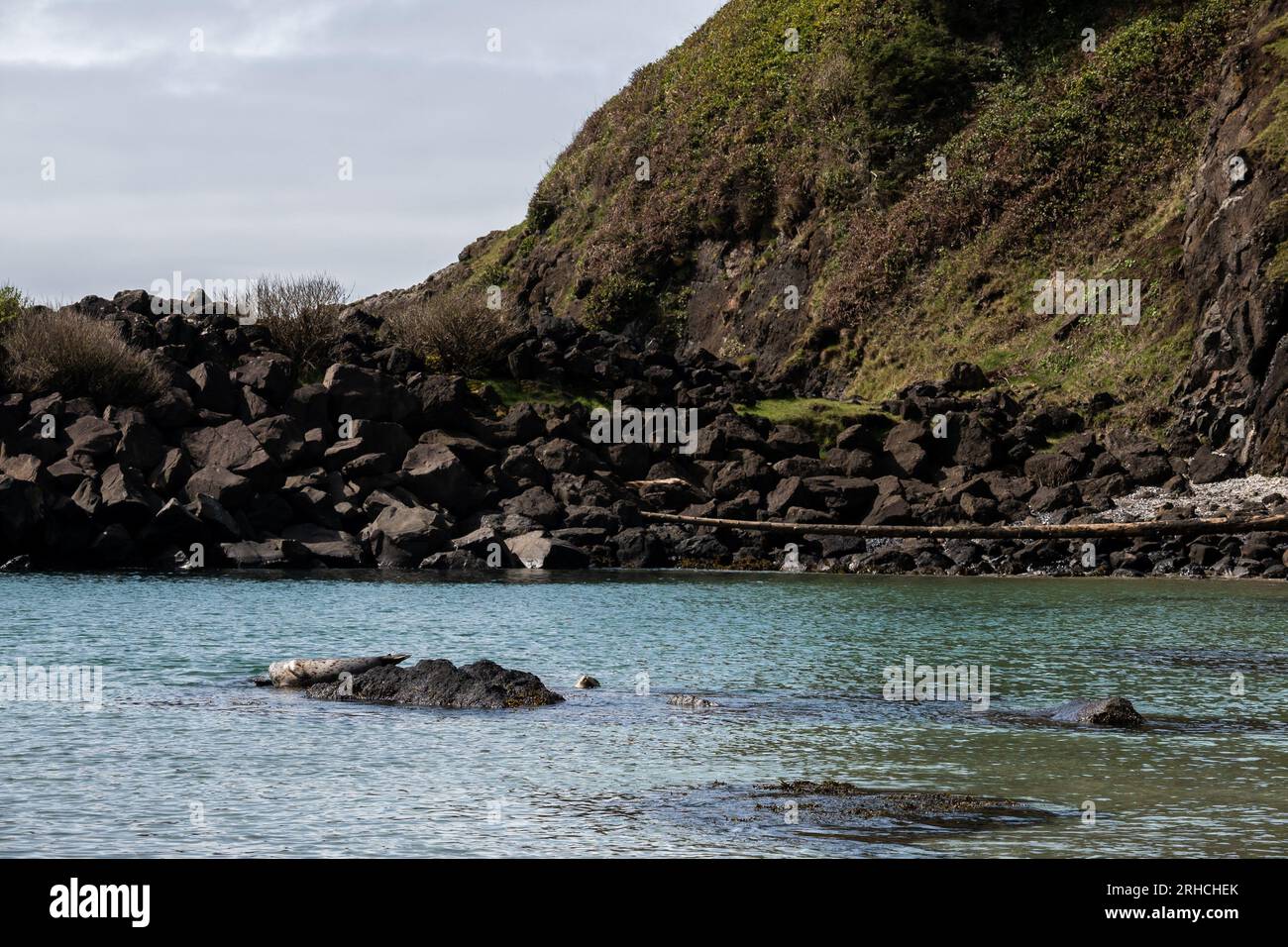 Phare de Yaquina Head Cobble Beach- Oregon 2022 Banque D'Images