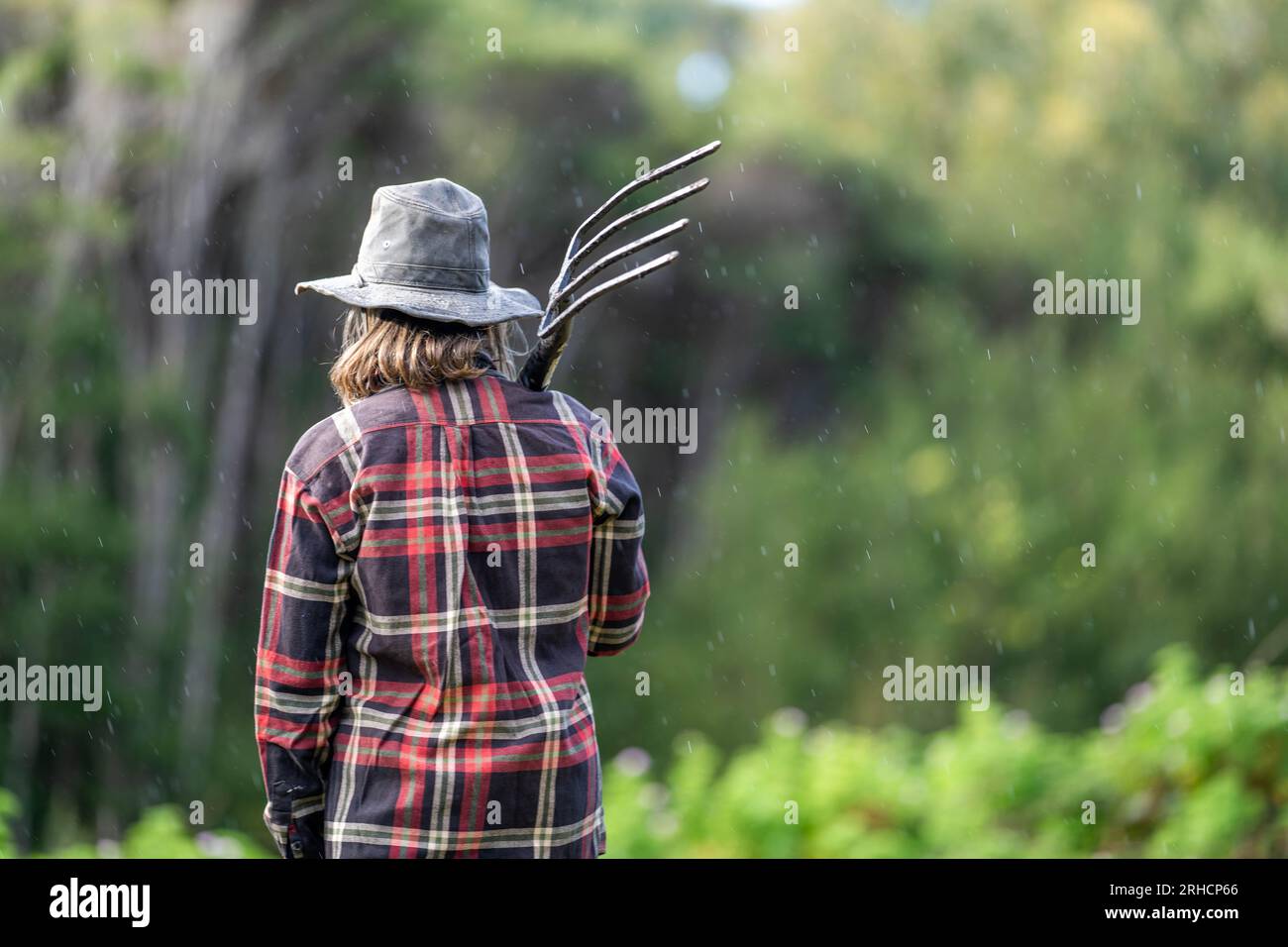 Jeune femme scientifique des sols tenant un sol dans une main dans un laboratoire des sols en australie Banque D'Images
