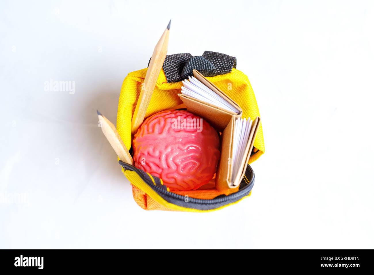 Modèle de cerveau humain jouet, petits livres et crayons placés dans un sac à dos vibrant miniature isolé sur fond blanc. Conc. Lié à l'apprentissage et à l'éducation Banque D'Images