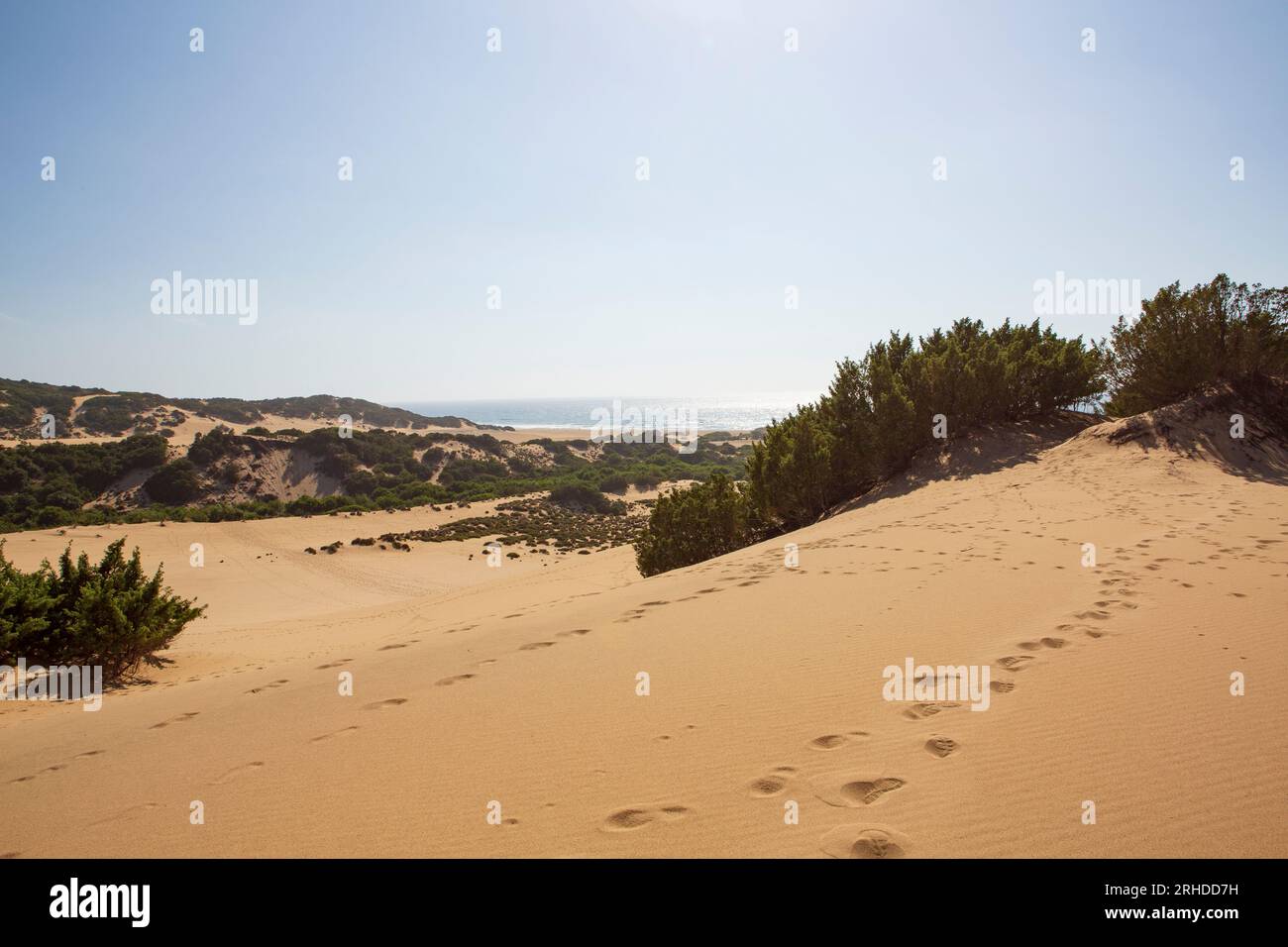 Les dunes de Piscinas, dans le sud de l'île de Sardaigne Banque D'Images