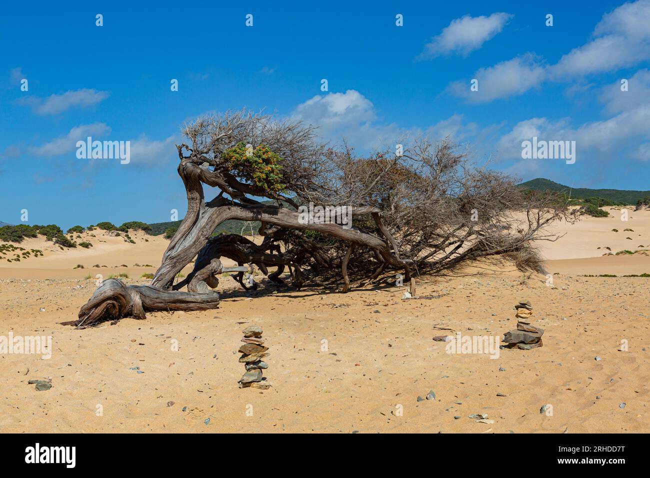 Les dunes de Piscinas, dans le sud de l'île de Sardaigne Banque D'Images