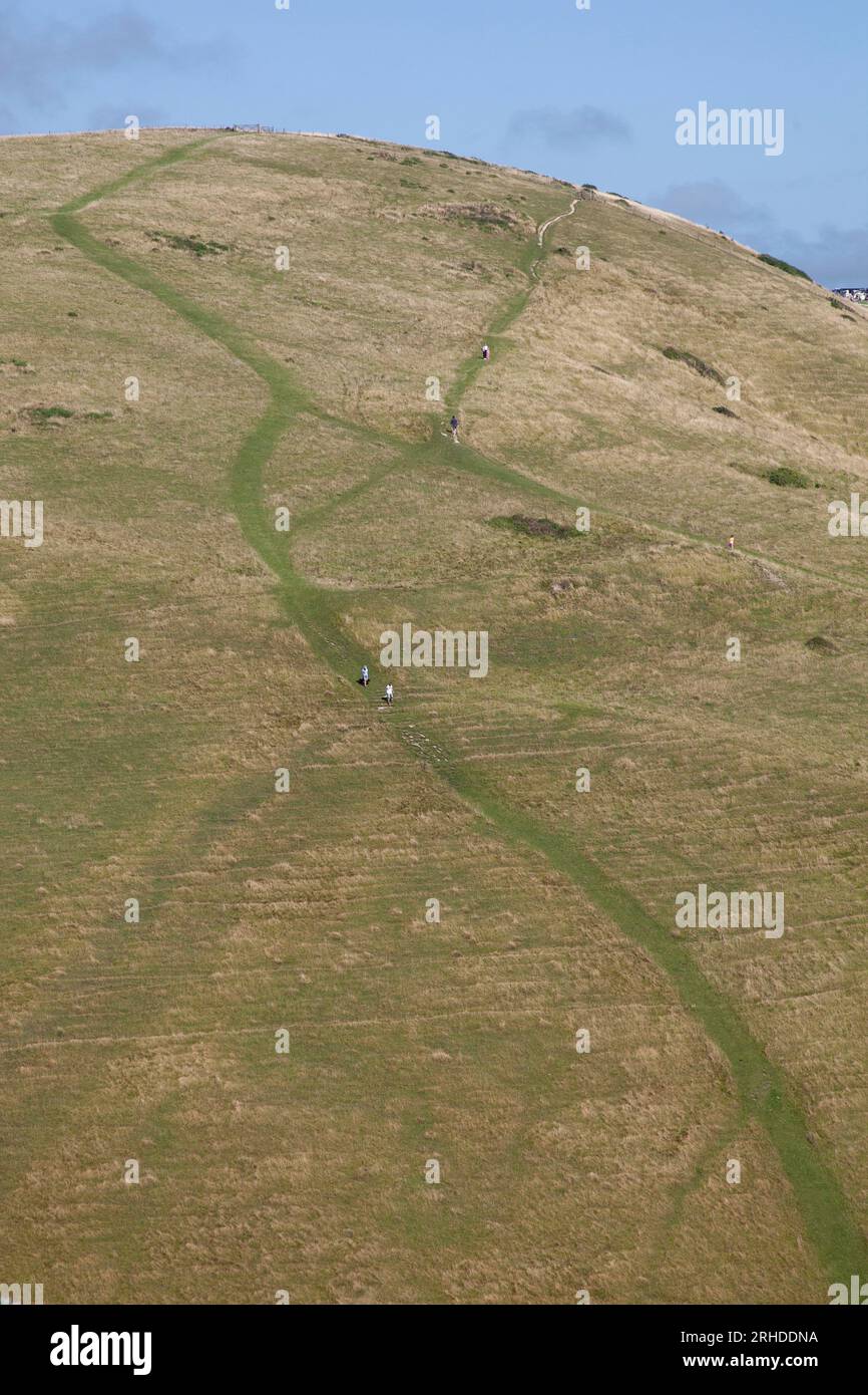 Sentiers sur une colline, près de Lulworth, Dorset Banque D'Images
