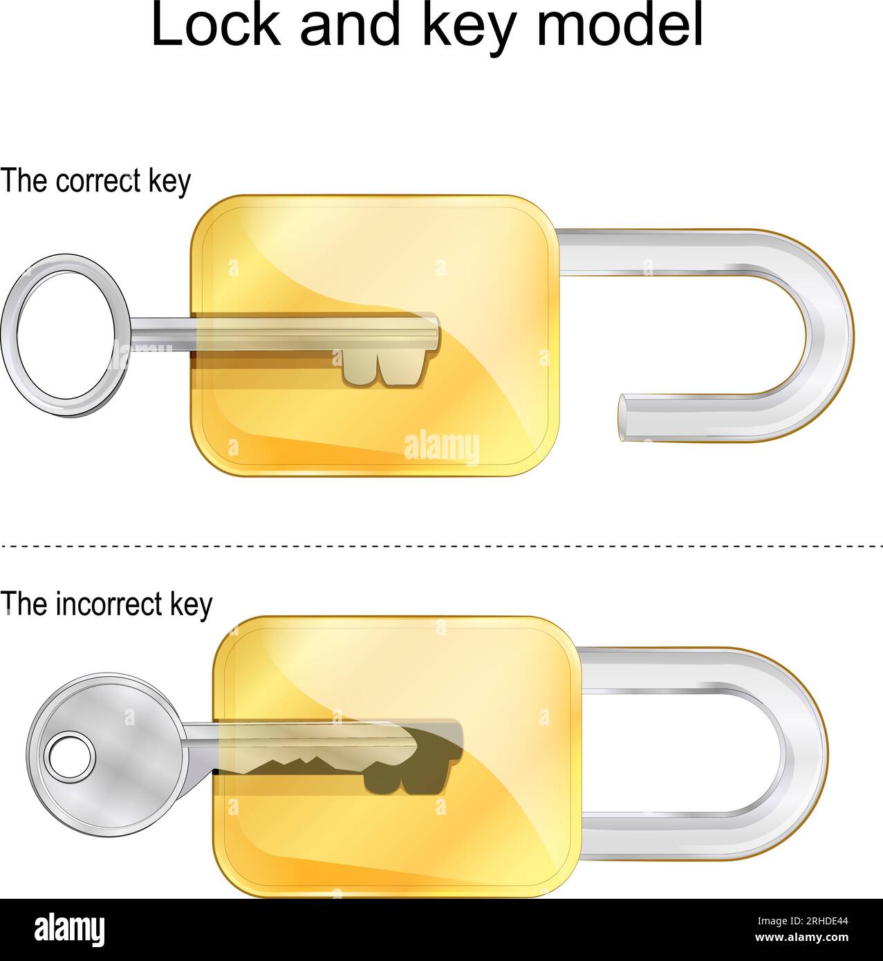 Modèle de serrure et de clé. Les clés correctes et incorrectes. Illustration vectorielle Illustration de Vecteur