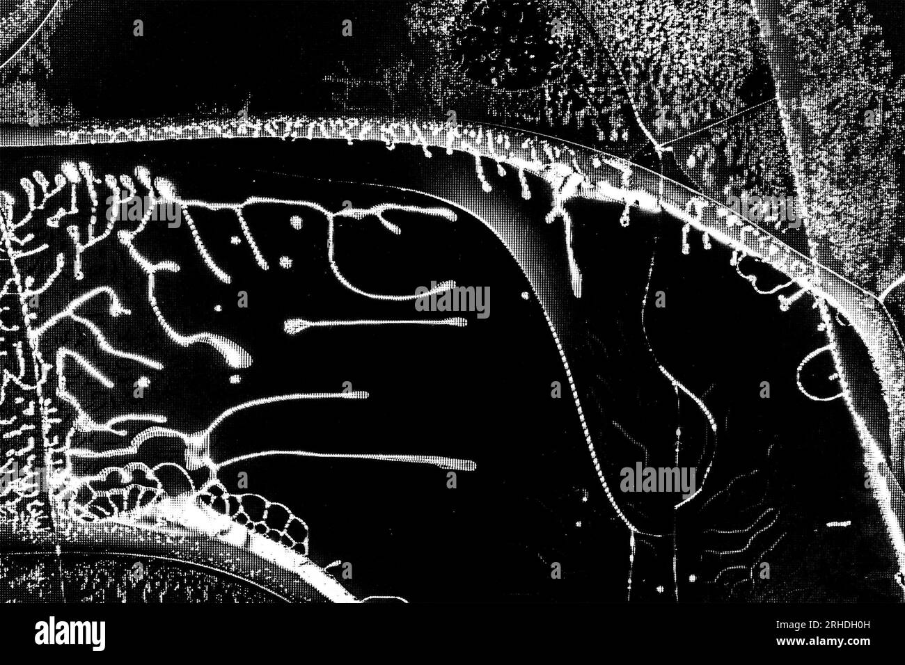 Fissures de fond de texture sur l'écran cassé d'un écran à cristaux liquides, moniteur d'ordinateur ou TV photo noir et blanc Banque D'Images