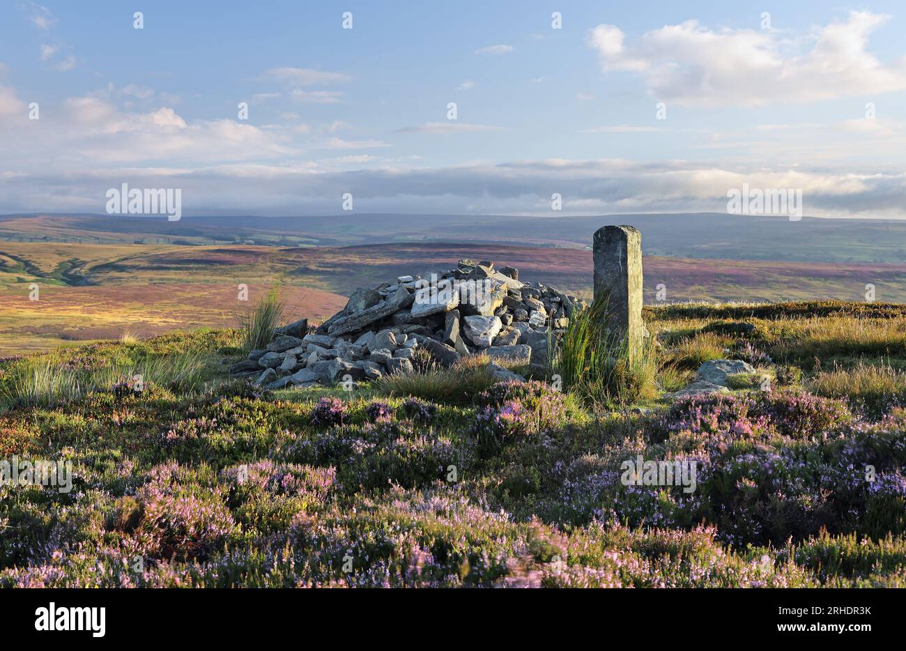 Long Man Cairn et bruyère fleurie dans les Pennines du Nord à la frontière entre Teesdale et Weardale, comté de Durham, Royaume-Uni Banque D'Images