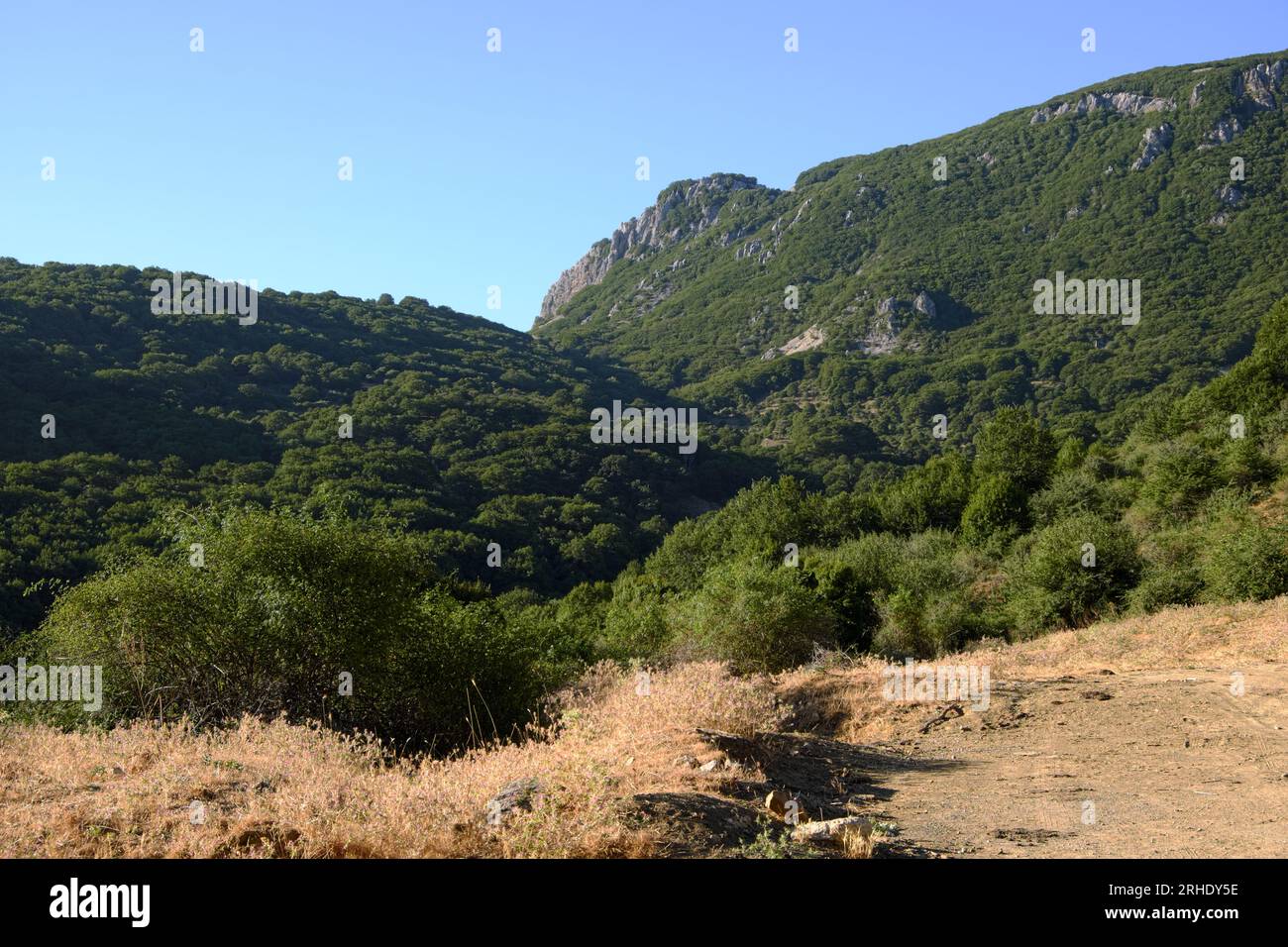 Lumière du matin sur les montagnes et les bois dans le parc de Madonie, Sicile, Italie Banque D'Images