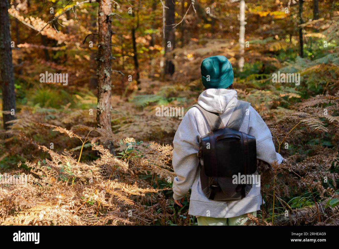 Femme voyageur avec sac à dos dans la forêt d'automne. Banque D'Images