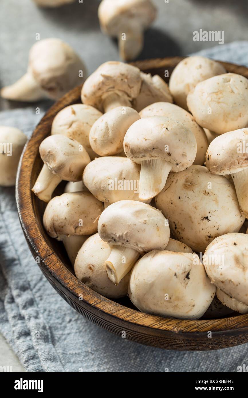 Champignons Champignnon biologiques blancs crus dans un bol Banque D'Images