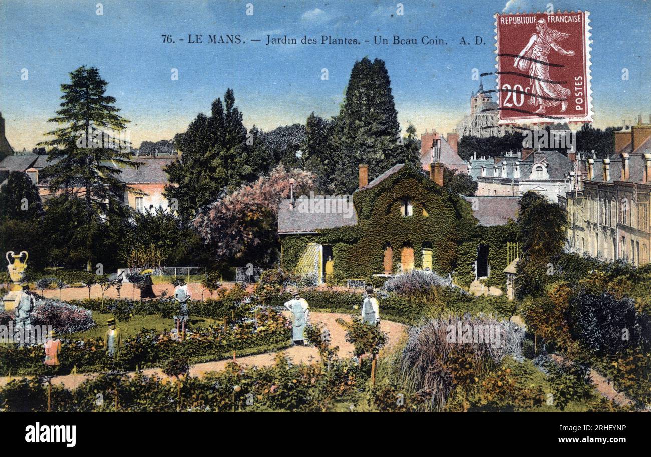 Pays de la Loire, Sarthe (72), le Mans : le jardin des plantes - carte postale date 1920-1929 Banque D'Images