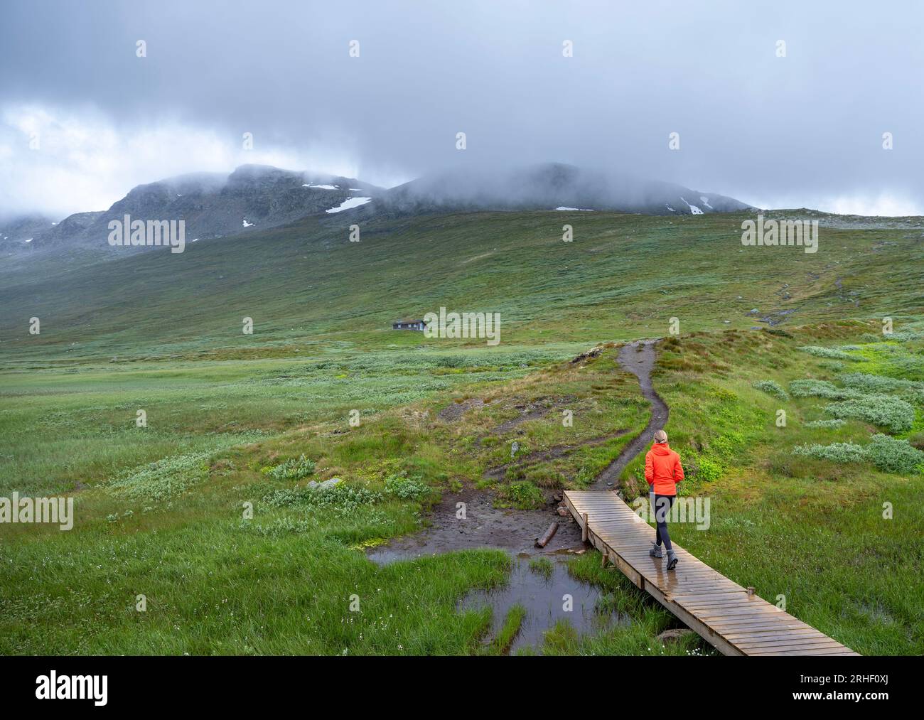 randonnées de filles dans le parc national de hallingskarvet de norvège Banque D'Images
