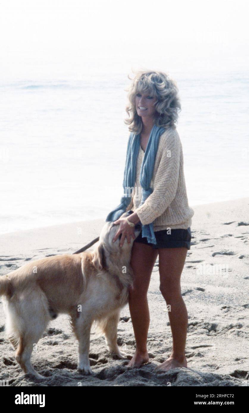 L'actrice américaine Farrah Fawcett est sur la plage en train de jouer avec  son chien lors du tournage du film Faberge Farrah Fawcett Shampoo  commercial, Los Angeles, CA, 1977. Photo : Collection