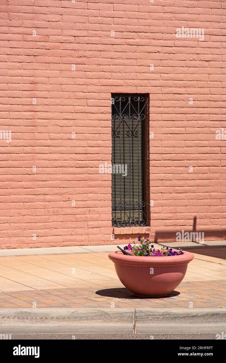 Jardinière de Tera cotta sur le trottoir avant le mur de briques avec des barres de fenêtre en fer forgé dans le centre-ville de Las Cruces Nouveau-Mexique Banque D'Images