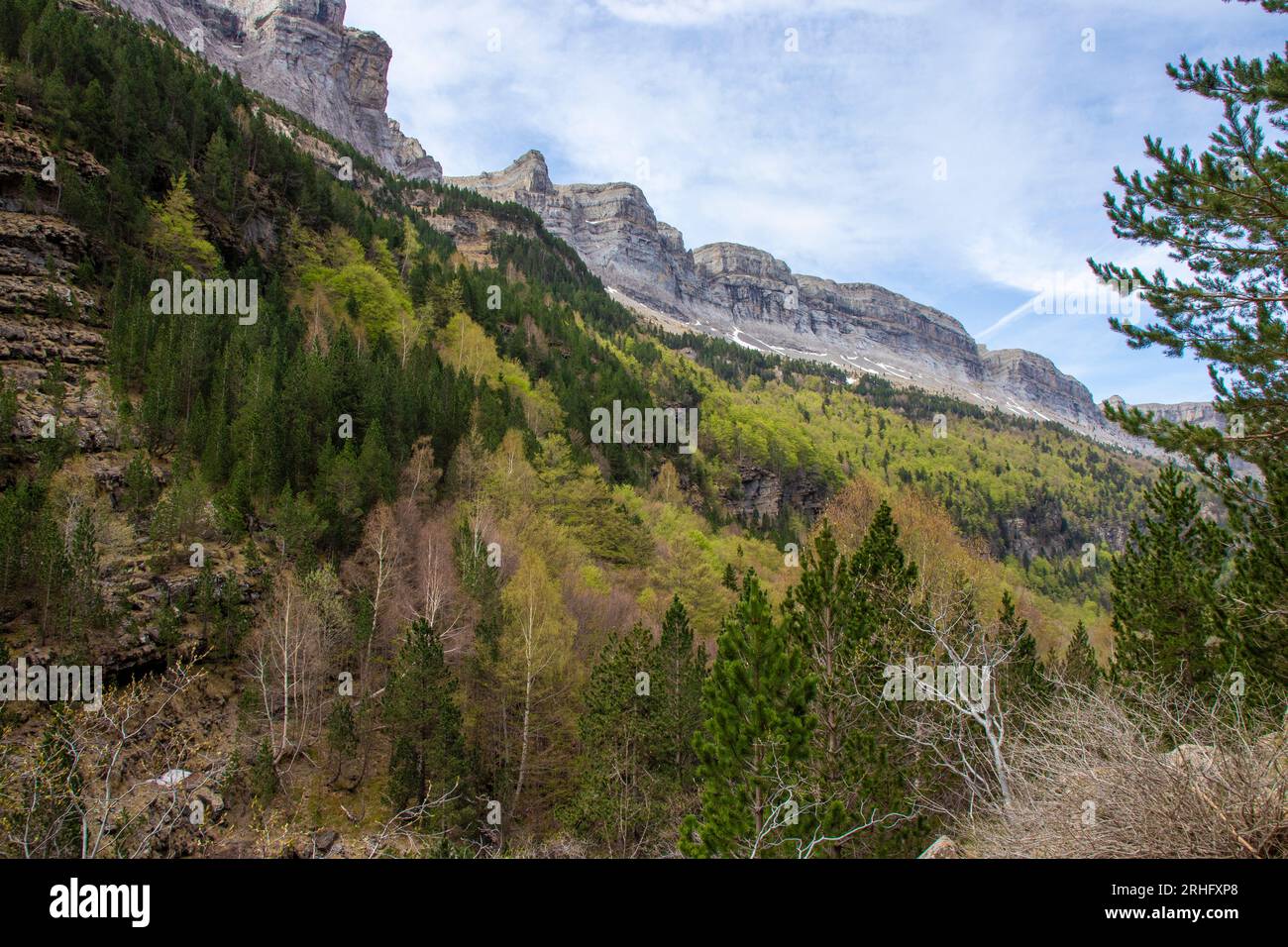 Des aventures de randonnée et des paysages majestueux vous attendent dans le paysage de Serene de la forêt d'Ordesa Banque D'Images