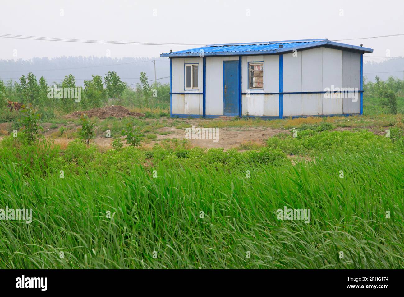 Maisons simples et roseau, nord de la chine Banque D'Images
