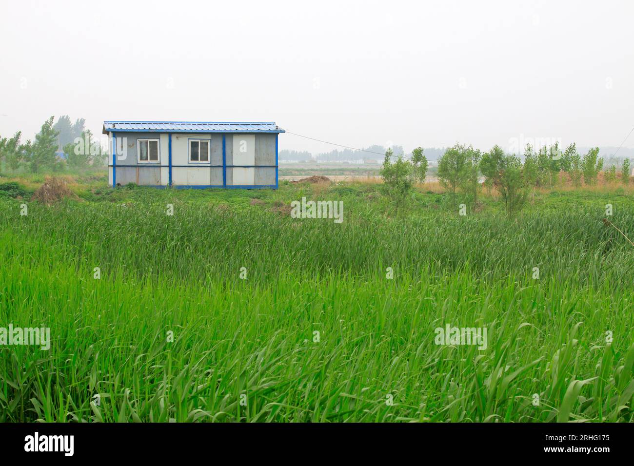 Maisons simples et roseau, nord de la chine Banque D'Images