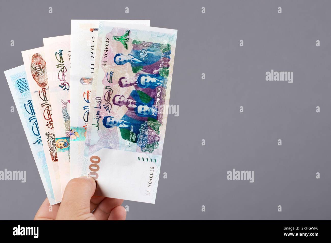 Argent algérien - dinar dans la main sur fond gris Banque D'Images