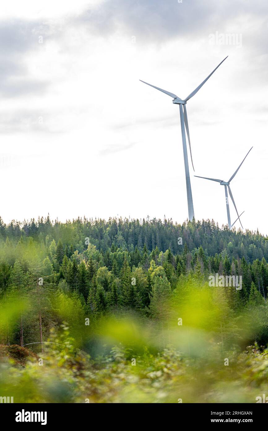Nord-Odal 20230816.Centrale éolienne appartenant au parc éolien Odal situé dans la municipalité de Nord-Odal. Le parc éolien se compose de 34 turbines. Photo : Annika Byrde / NTB Banque D'Images