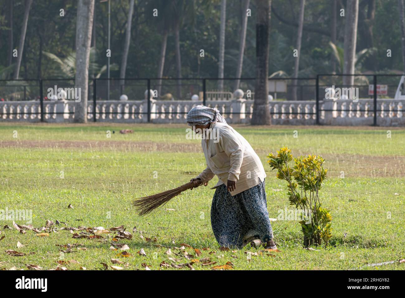 Old Goa, Inde - janvier 2023 : une travailleuse de l'assainissement balayant les jardins d'un ancien monument avec un balai. Banque D'Images