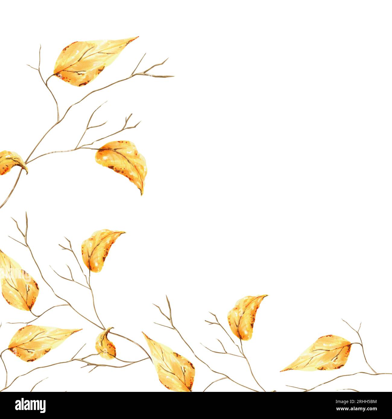 Cadre d'automne aquarelle avec feuillage doré de branche d'arbre. Esquisse de peinture à la main isolée sur fond blanc. Pour les designers, décoration, boutique, pour postc Banque D'Images