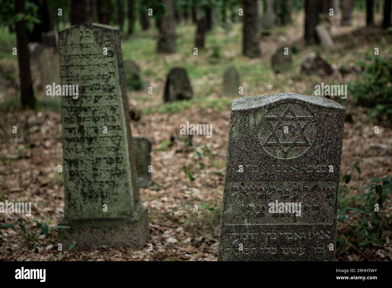In Merkinė, einer kleinen Stadt in Litauen, gibt es einen alten jüdischen Friedhof, der tief im Wald versteckt liegt. Dieser Friedhof dient als stille Banque D'Images