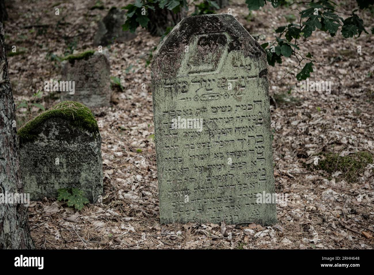In Merkinė, einer kleinen Stadt in Litauen, gibt es einen alten jüdischen Friedhof, der tief im Wald versteckt liegt. Dieser Friedhof dient als stille Banque D'Images