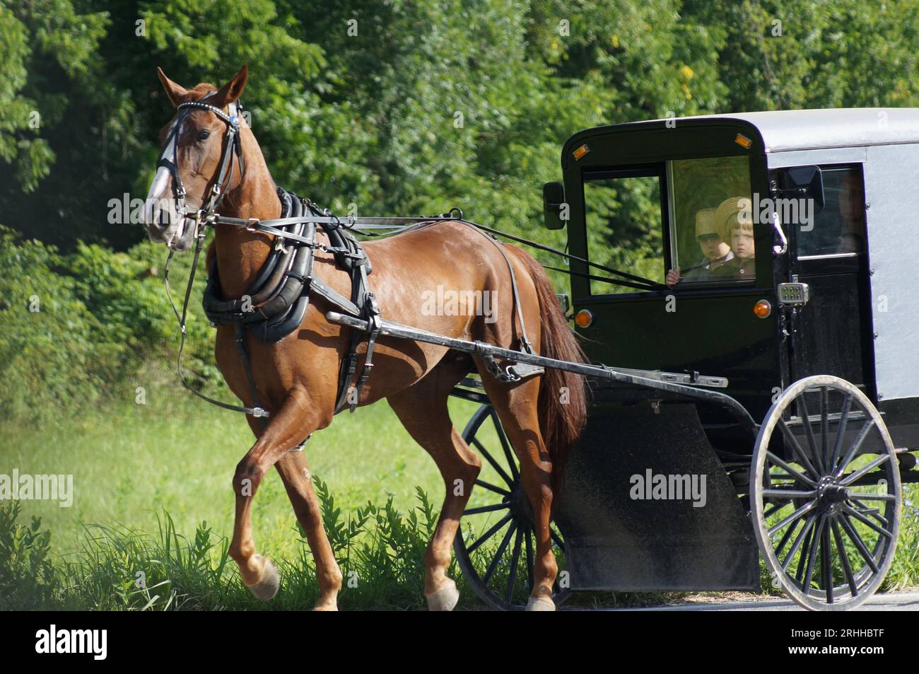 Une famille Amish monte en buggy tirée par des chevaux sur une route moderne près de la Pennsylvanie. Banque D'Images
