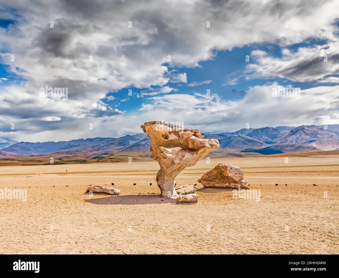 Arbol de Piedra (arbre de roche), la célèbre formation rocheuse d'arbre de pierre créée par le vent, dans le désert de Siloli dans la réserve nationale de faune andine Eduardo Avaroa Banque D'Images