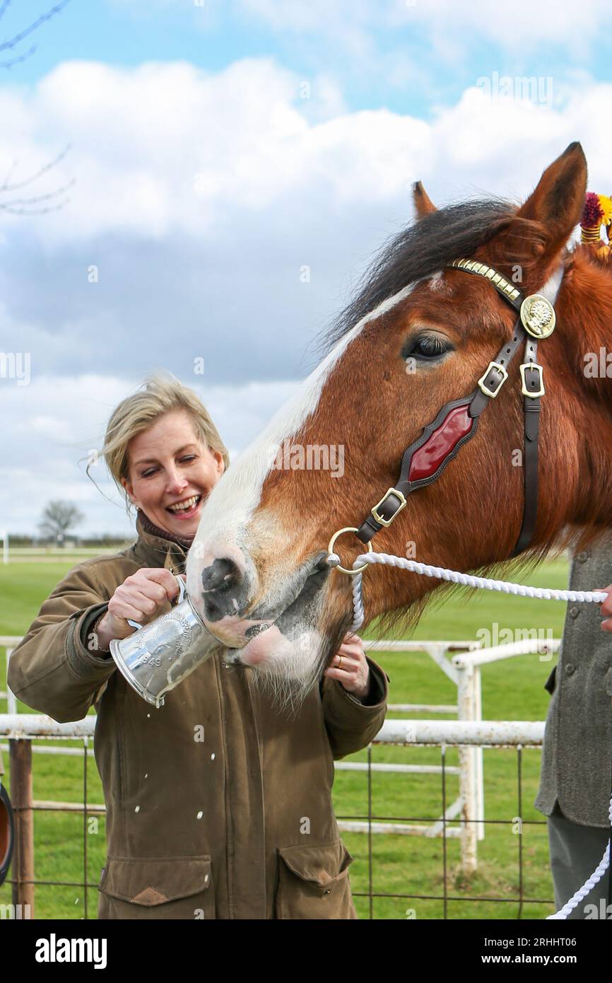 Sophie, duchesse de Wessex, au Shire Horse Society National Show 2022, dans son rôle de présidente de la Société Banque D'Images