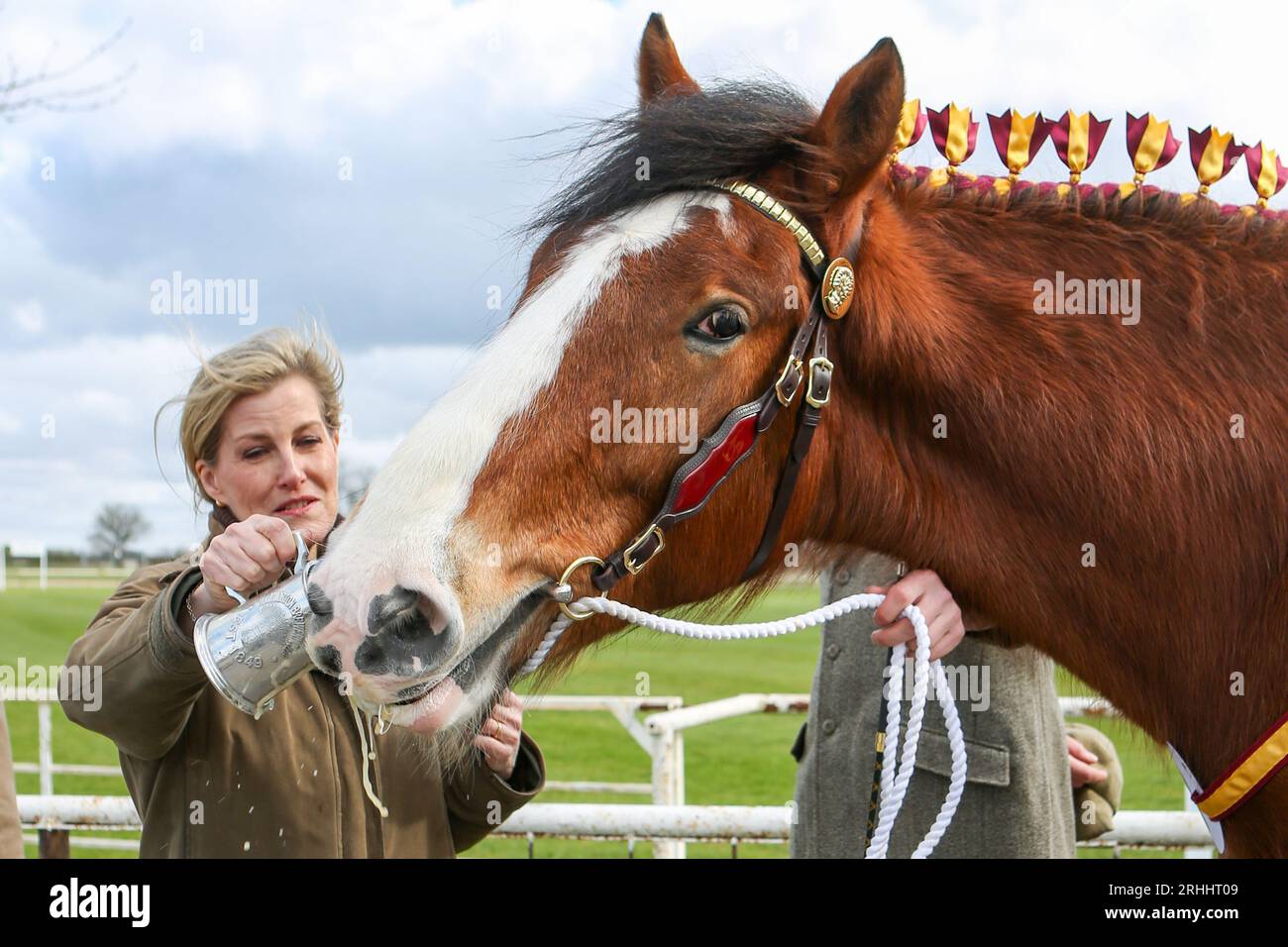 Sophie, duchesse de Wessex, au Shire Horse Society National Show 2022, dans son rôle de présidente de la Société Banque D'Images