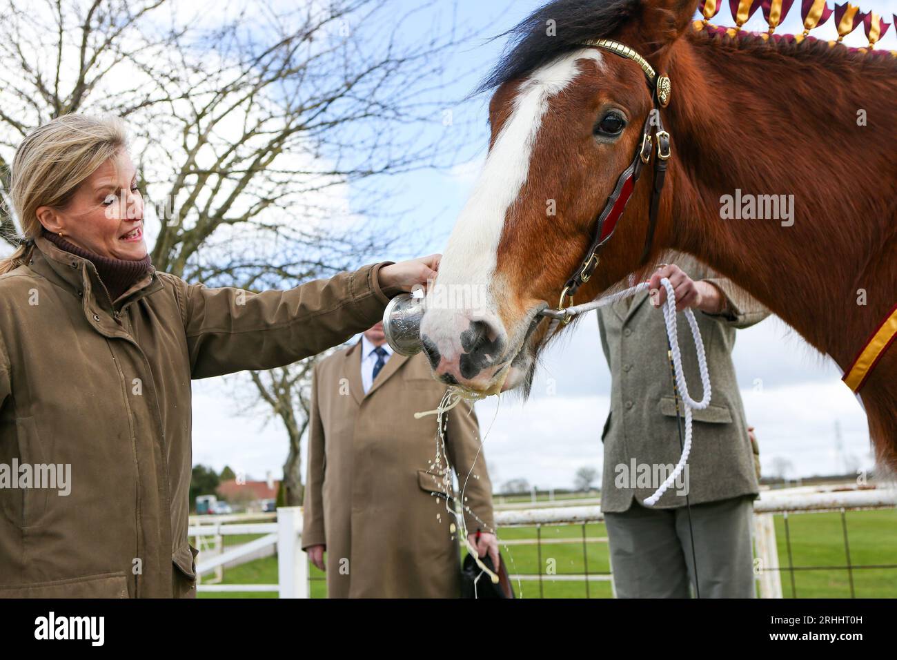 Sophie, duchesse de Wessex, au Shire Horse Society National Show 2022, dans son rôle de présidente de la Société Banque D'Images