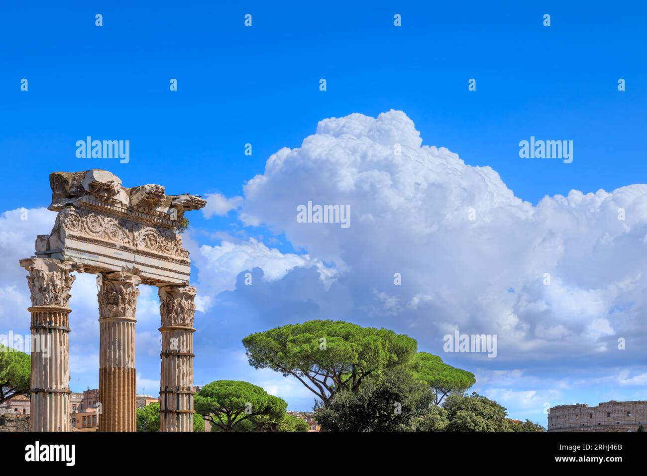 Ciel de Rome. Aperçu du temple de Vénus Genetrix et du Colisée entouré de pins romains typiques. Banque D'Images