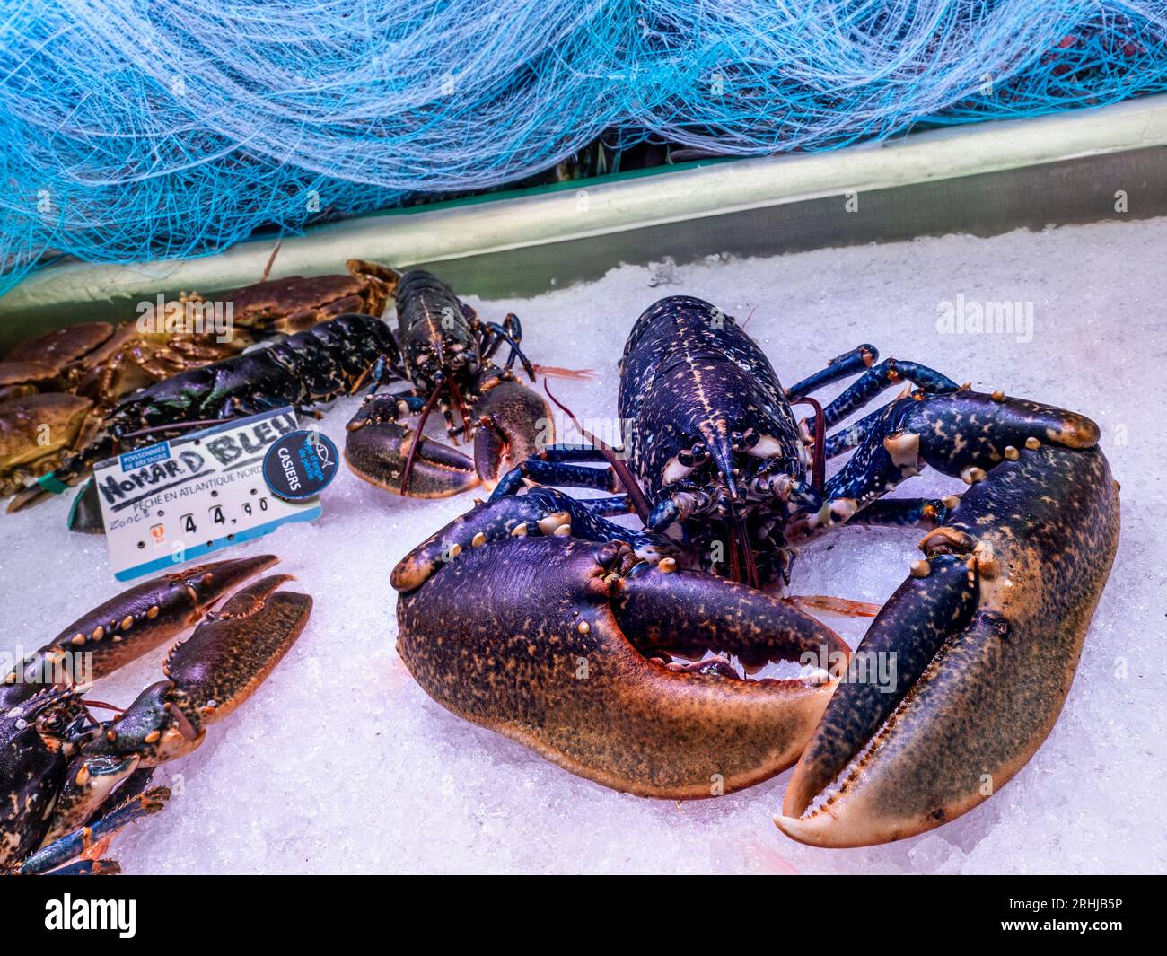 HOMARD BLEU SUR GLACE PILÉE FRAIS 'HOMARD BLEU' BRETAGNE FRANCE Concarneau marché aux poissons quotidien avec homard bleu haute saison 'Homard des Glenann' exposé à la vente avec filets de pêche derrière Bretagne France Banque D'Images