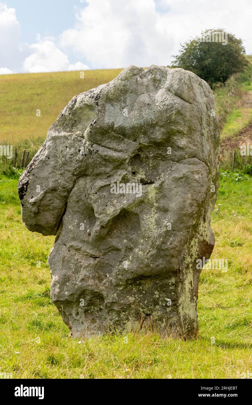 Pierres le long de l'avenue West Kennet, une ligne parallèle de pierres debout menant d'Avebury Henge et faisant partie du site du patrimoine mondial Banque D'Images