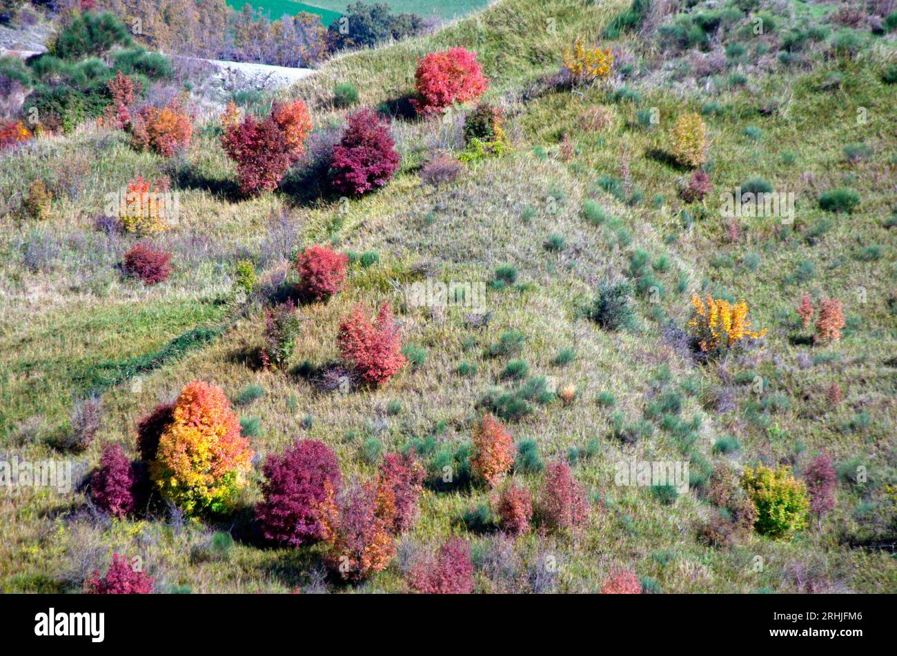 colori dell'autunno nel Montefeltro Banque D'Images