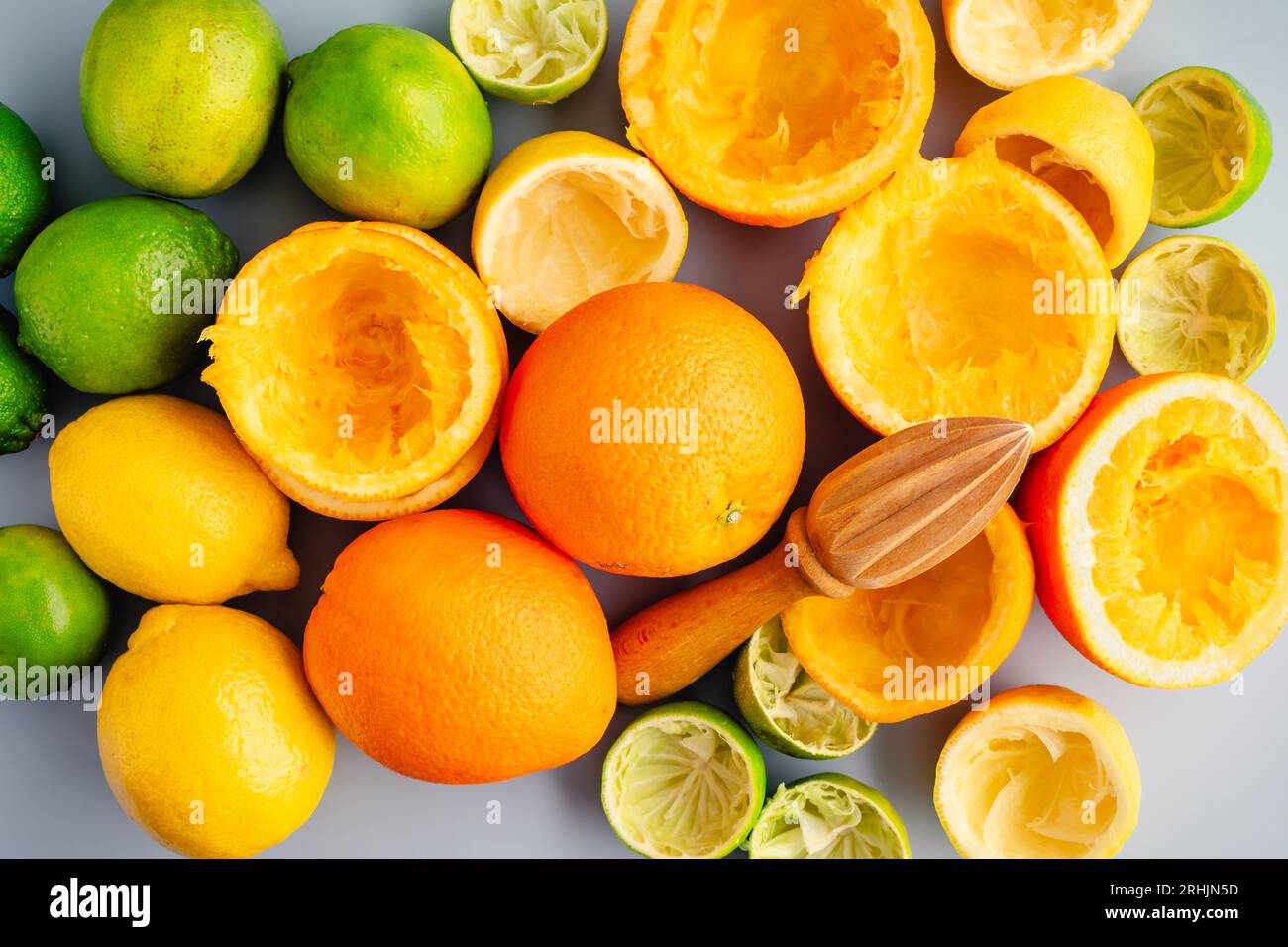 Citrus Focus Mélange De Rempotage Pour Plantes D'agrumes 8 L