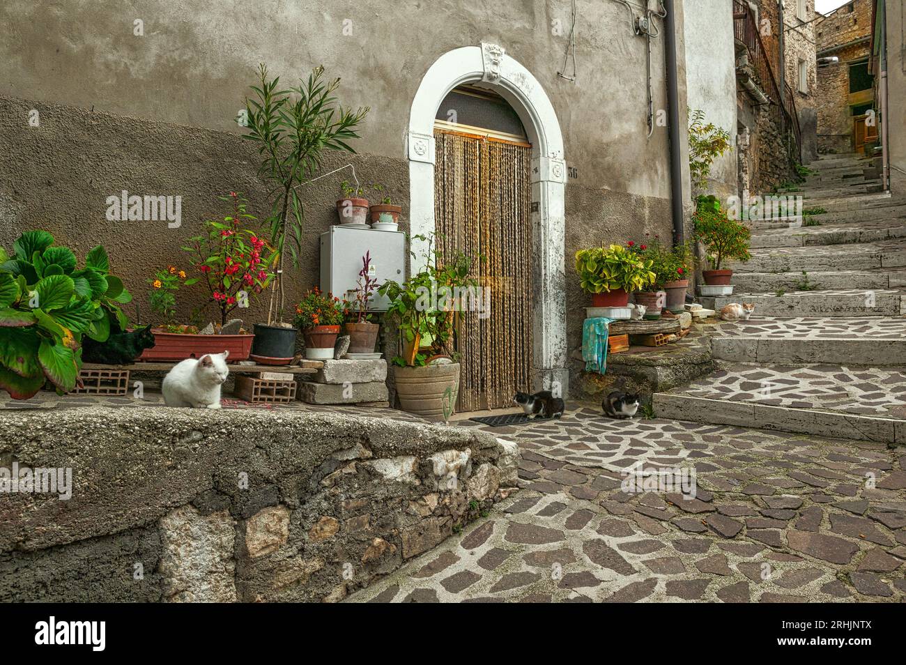 Maisons, décorées de fleurs et de vases, ruelles et escaliers dans le centre historique de la vieille ville de Prezza. Prezza, province de l'Aquila, Abruzzes, IT Banque D'Images