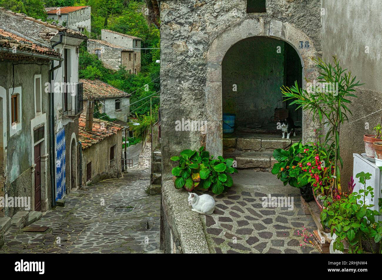 Maisons, décorées de fleurs et de vases, ruelles et escaliers dans le centre historique de la vieille ville de Prezza. Prezza, province de l'Aquila, Abruzzes, IT Banque D'Images