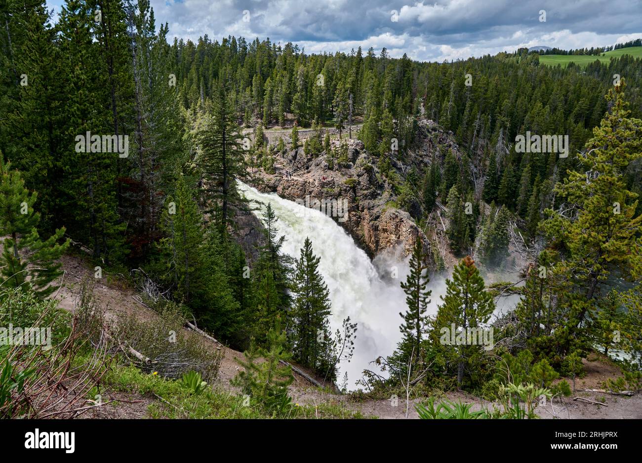Upper Falls of Yellowstone River, parc national de Yellowstone, Wyoming, États-Unis d'Amérique Banque D'Images