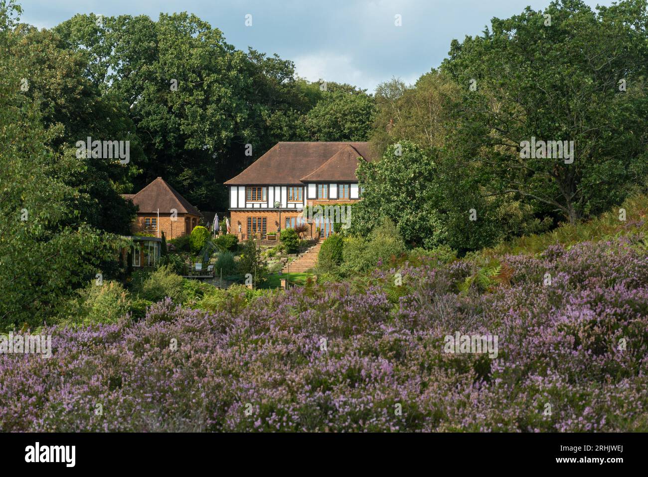 Grande maison ou propriété dans le parc national de New Forest à côté des pentes couvertes de bruyères, Hampshire, Angleterre, Royaume-Uni Banque D'Images